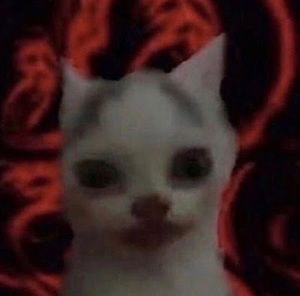 Meet your Posher, Nyssa